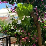 Holiday Mirjana * ראב
