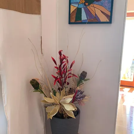 Mirjana Prázdninový dům Rab Town