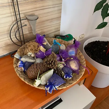 Prázdninový dům Mirjana Rab Town